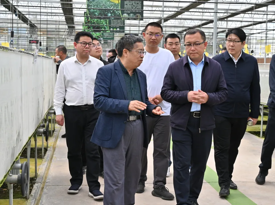 浙江尊龙凯时医药股份有限公司