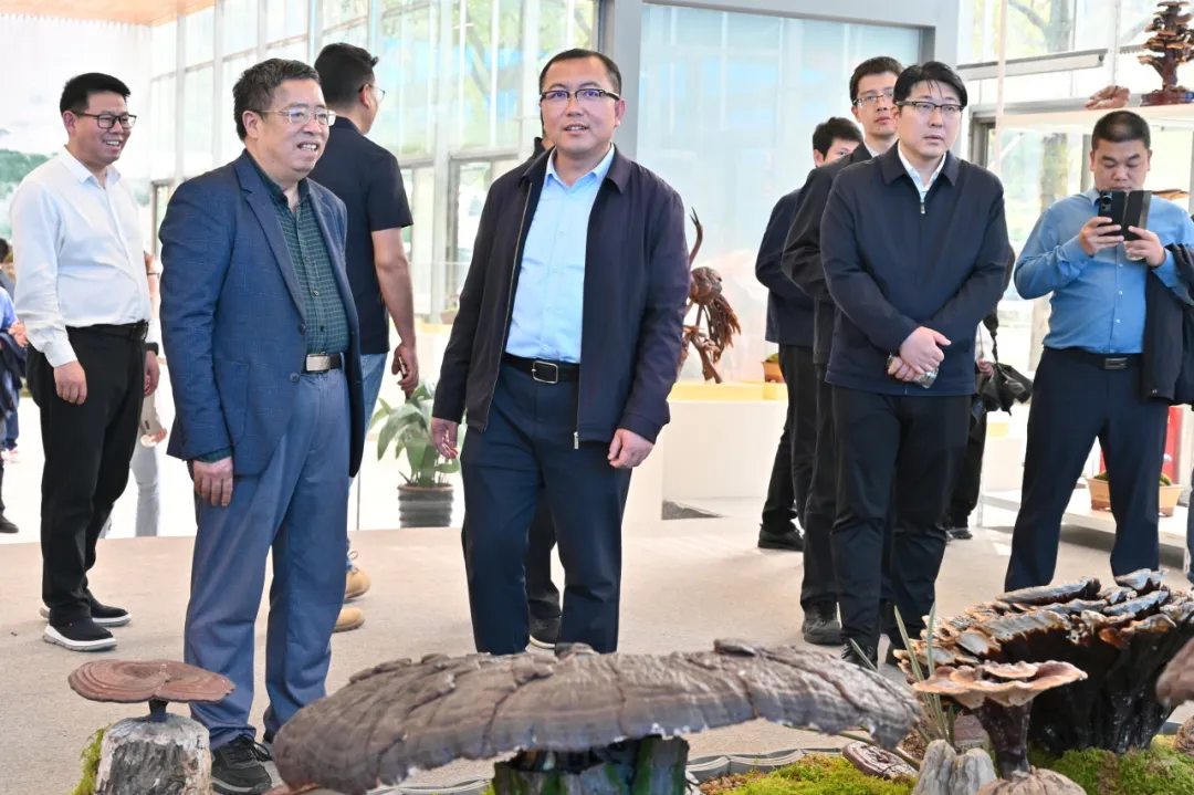 浙江尊龙凯时医药股份有限公司